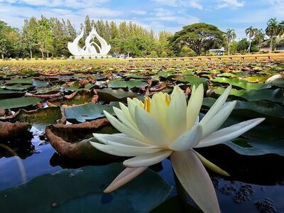 Bua National Park