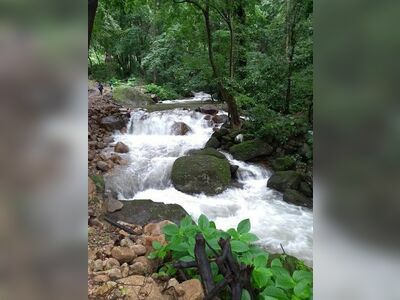 Mae Moei National Park