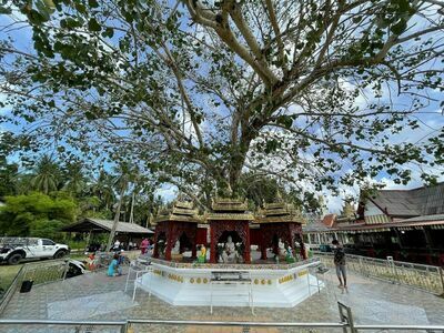 Wat Pho