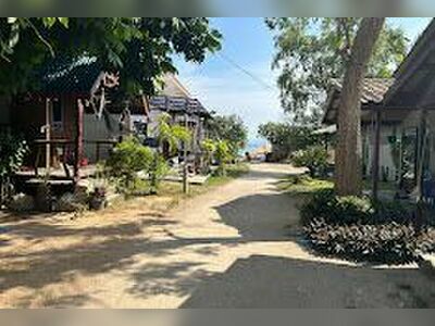 The Cosy Koh Phangan