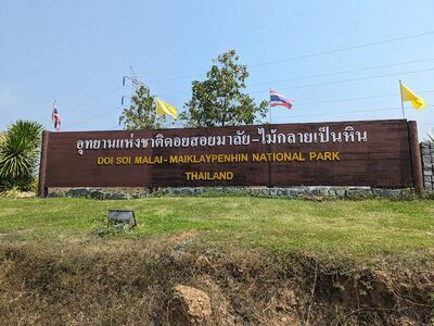 Doi Soi Malai National Park - Petrified Wood