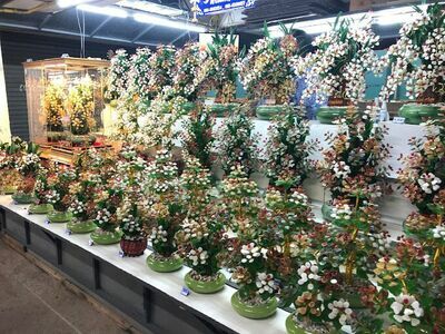 Rim Moei Market