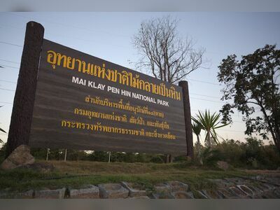 Doi Soi Malai National Park - Petrified Wood