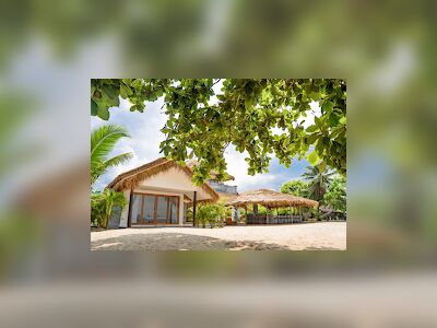 Puk's Palace and Day Club