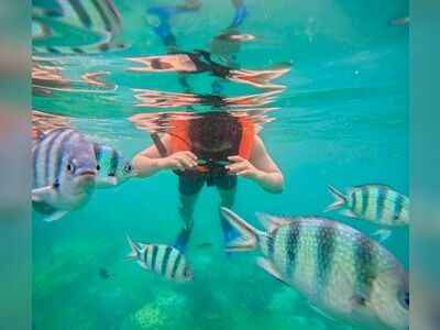 Koh Kood TS Car Rental & Diving