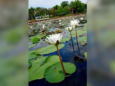 Bua National Park