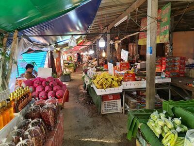 Muser 2 Market