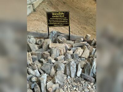 Doi Soi Malai National Park - Petrified Wood