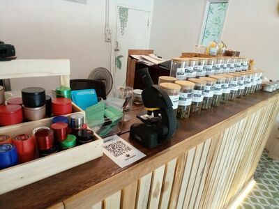 Chill Nation - Lavazza, Eatery, Weed & Cannabis Products