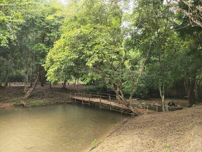 Kapo Waterfall Forest Park