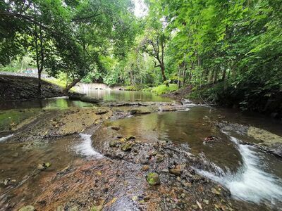 Kapo Waterfall Forest Park