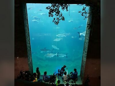 Nong Khai Aquarium