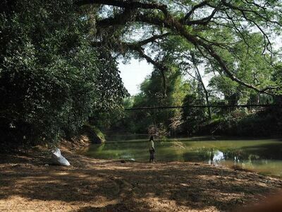 Saphan Sai Wat Derm