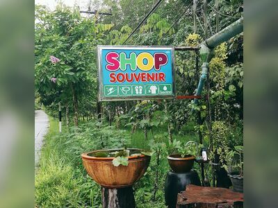 Shop Souvenir in Koh Kood