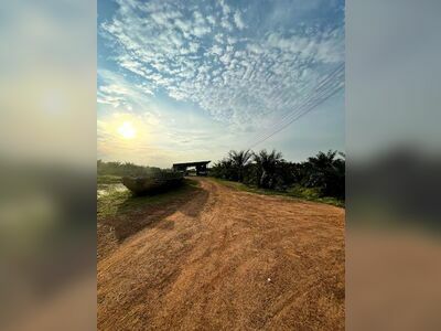 don Park Date Palm Garden (Nong Khai)