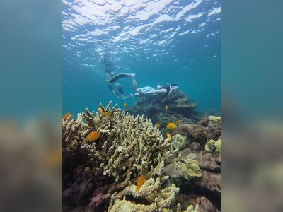 Wichit Tour Koh Lipe