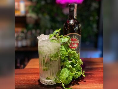 Rainforest Bar
