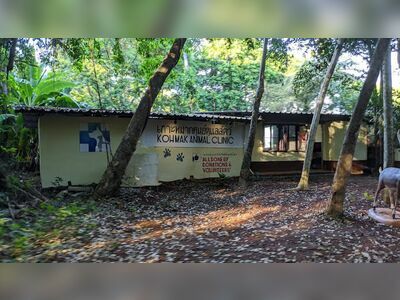 Koh Mak Animal Clinic