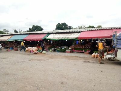 Muser 2 Market