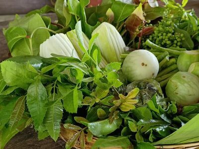 Chumphon Organic Market