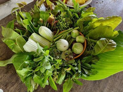 Chumphon Organic Market