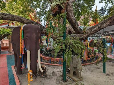 Wat Lum Mahachai Chumphon