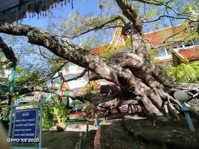 Wat Lum Mahachai Chumphon