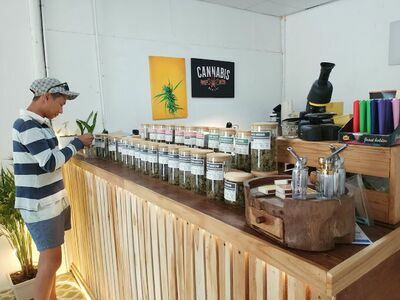 Chill Nation - Lavazza, Eatery, Weed & Cannabis Products