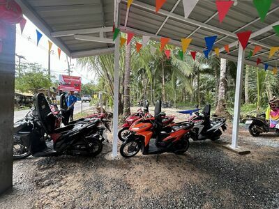 Motorbike forrent kohkood (kiw)