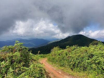 Doi Soi Malai National Park (Doi Soi Malai Peak)