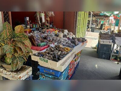 Muser 2 Market