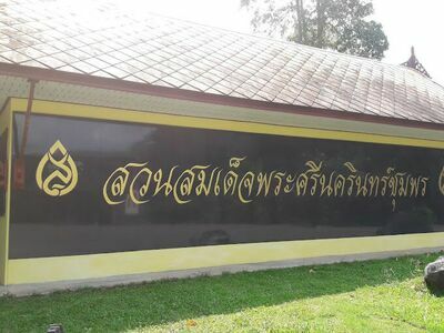 Somdet Phra Srinagarindra Park, Chumphon)