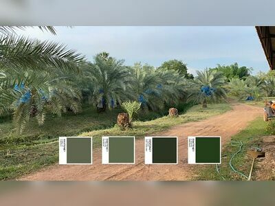 don Park Date Palm Garden (Nong Khai)