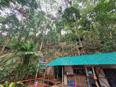 Tree Top Adventure Park