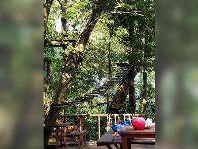 Tree Top Adventure Park