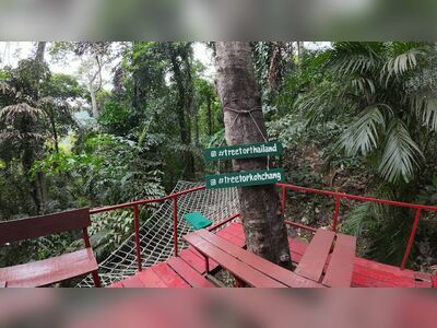 Tree Top Adventure Park