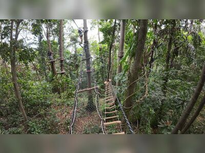 Tree Top Adventure Park