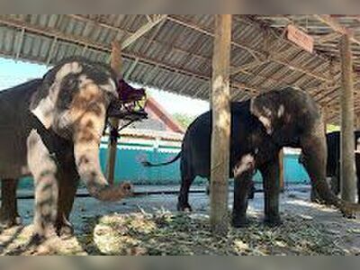 Baan Camp Chang