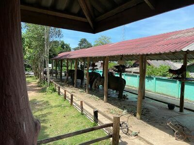 Baan Camp Chang