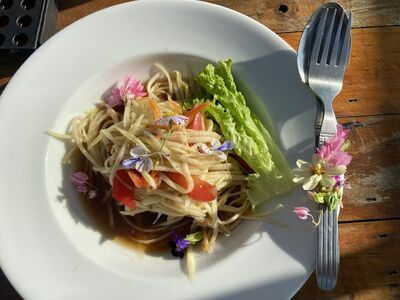 Thai Dutch Restaurant