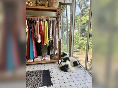 Siamese Shop
