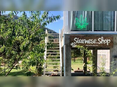 Siamese Shop