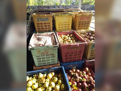 Market Bua Tong