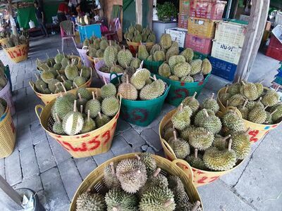 Market Bua Tong