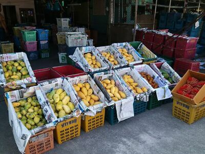 Market Bua Tong