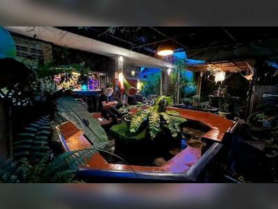 The Hobbit House NST Wine Bar