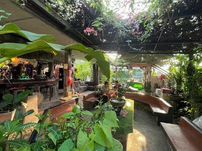 The Hobbit House NST Wine Bar