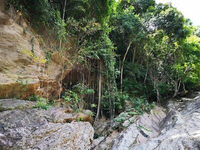 Khao Phlai Dam National Park
