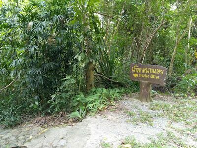 Khao Phlai Dam National Park