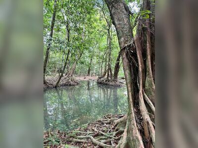 Namtok Si Khit National Park